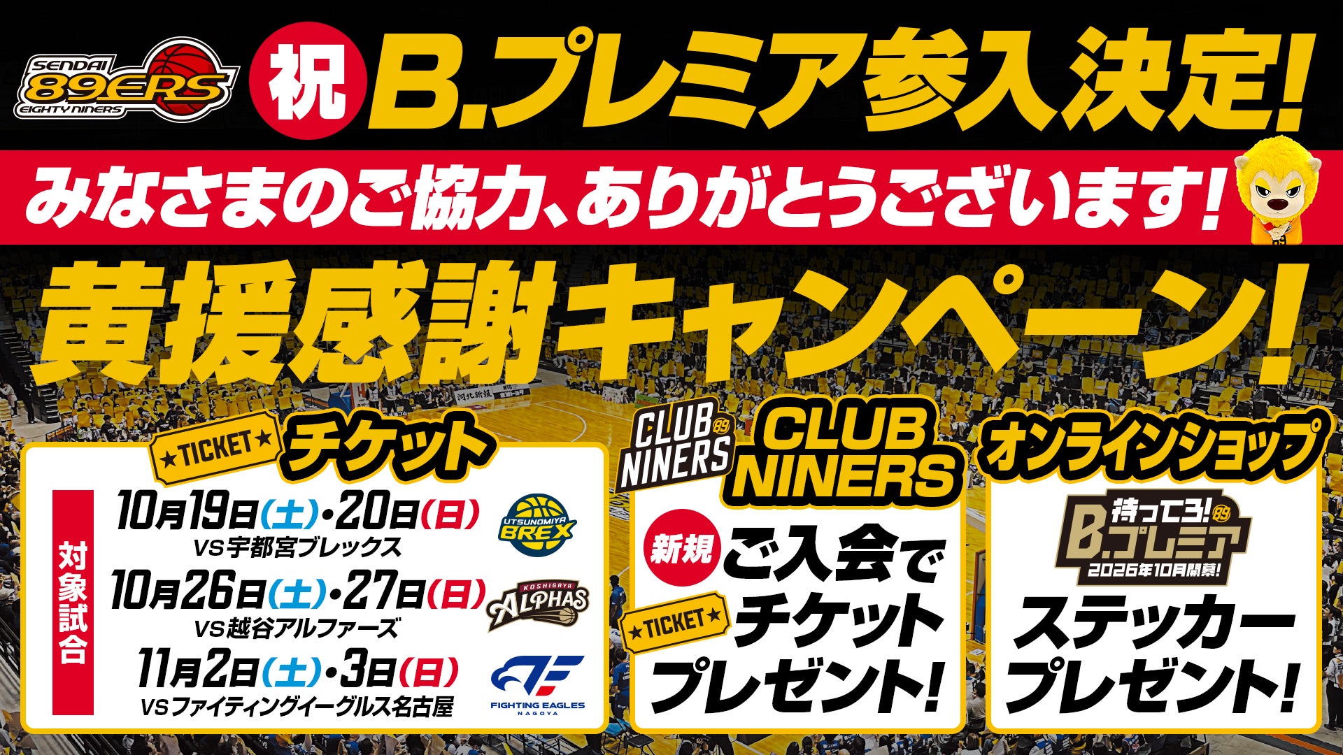 Bプレミア参入決定！黄援感謝キャンペーン開催！ | 仙台89ERS