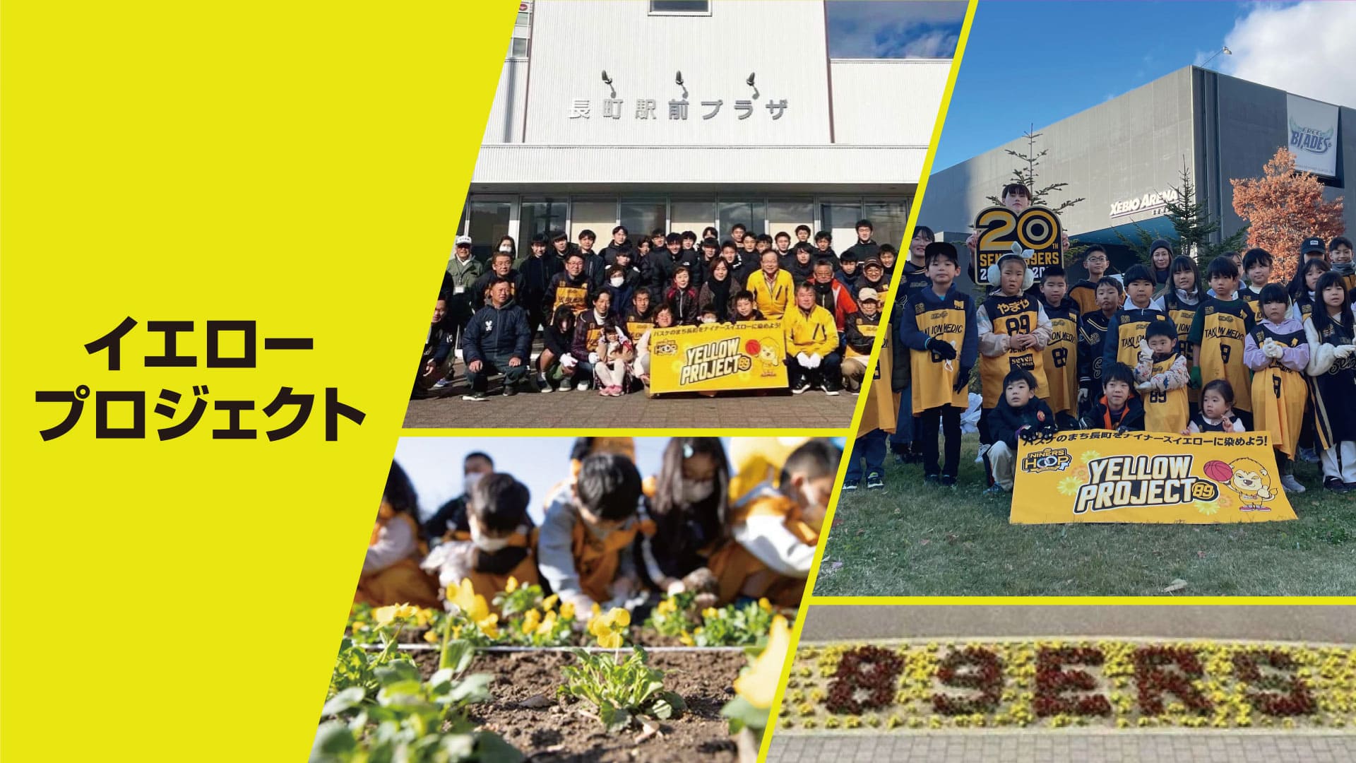 イエロープロジェクト